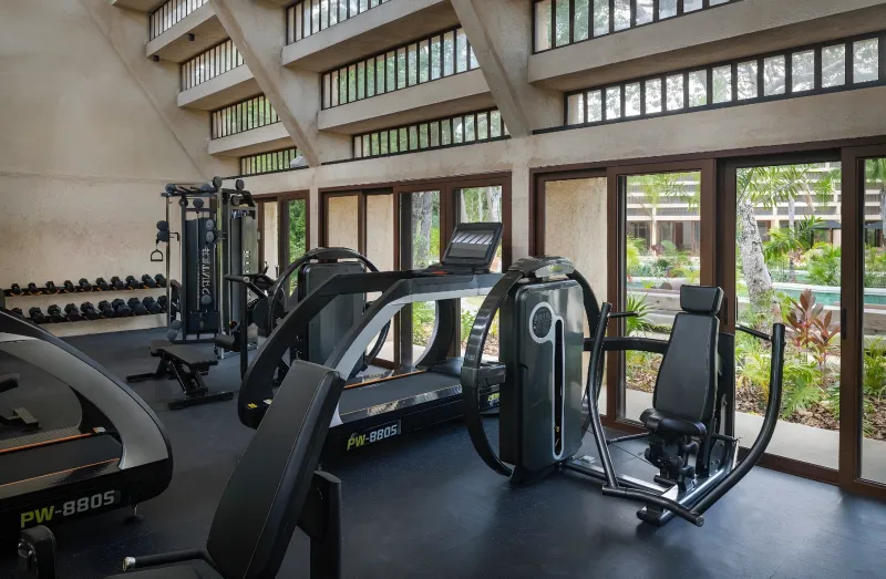 The gym with machines and weights, open to the garden.