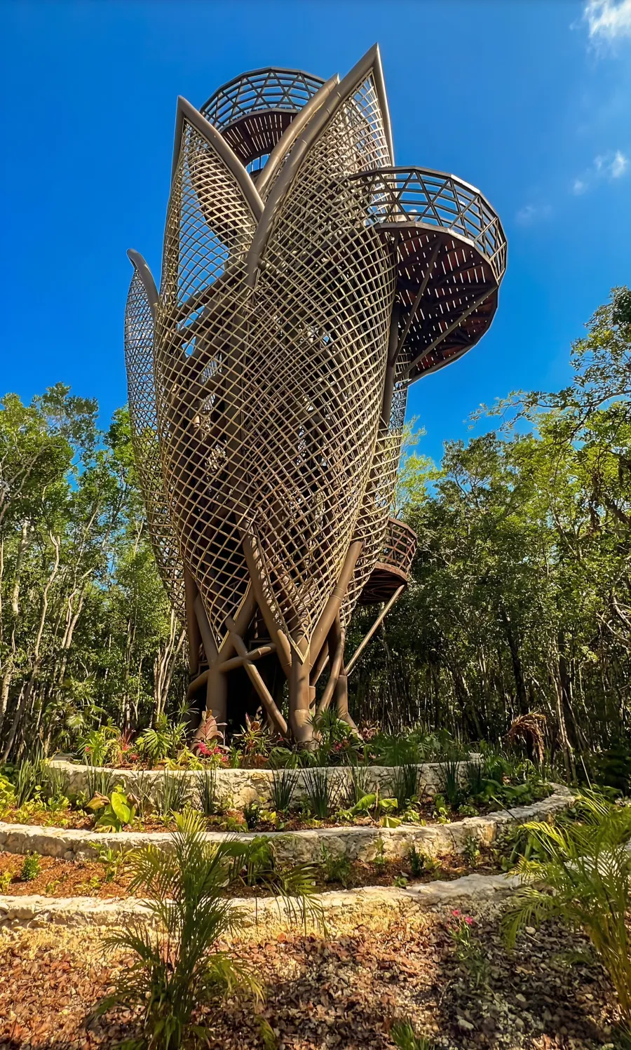 The woven lookout tower rising above the jungle canopy, with a spiral walkway around it.